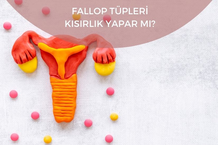 Fallop Tüpleri Kısırlık Yapar mı?