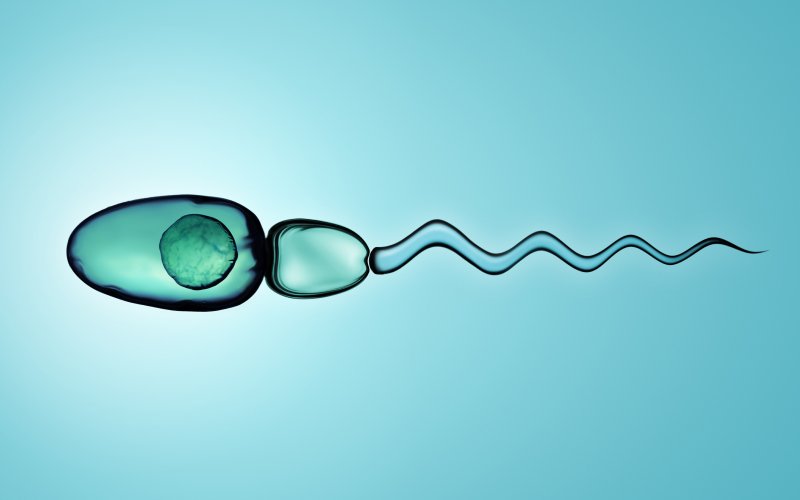 Tüp Bebek İçin Hareketsiz Sperm ile Mümkün mü?