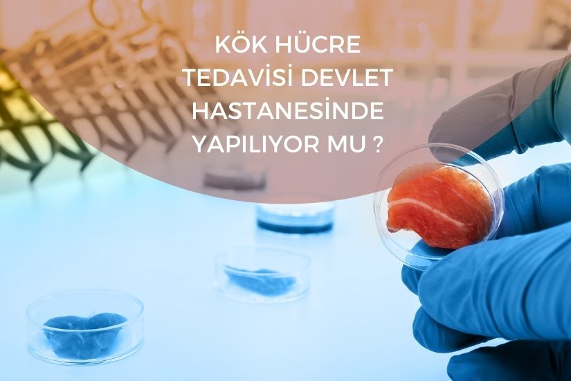 Kök hücre tedavisi devlet hastanesinde yapılıyor mu