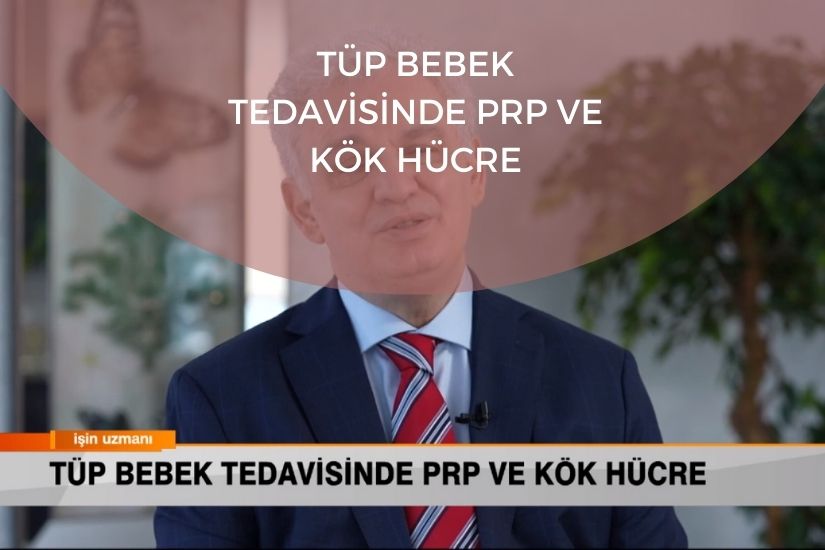 Tüp Bebek Tedavisinde PRP ve Kök Hücre